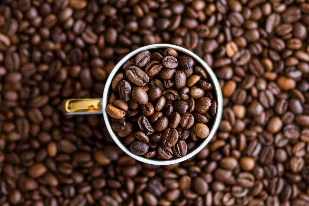 قهوه روبوستا (Robusta)
