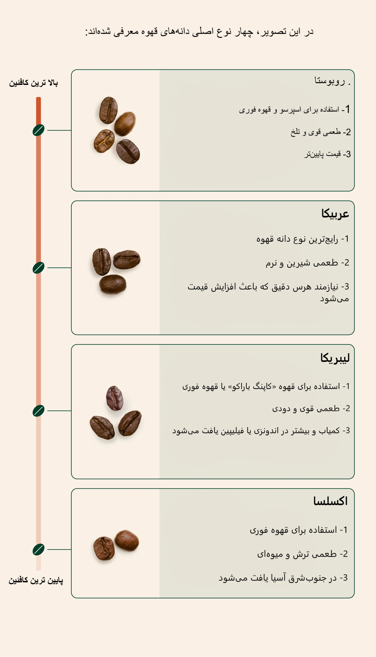چهار نوع اصلی از دانه‌های قهوه